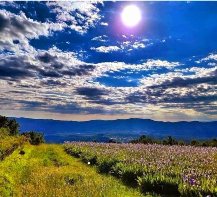 Casa Chianti 47 Διαμέρισμα Mercatale Val Di Pesa Εξωτερικό φωτογραφία